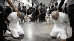 Foto de migrantes deportados pelos EUA para o Cecot. Os migrantes aparecem ajoelhados e com a cabeça raspada; enquanto os guardas, com o rosto coberto por máscara, os imobilizam