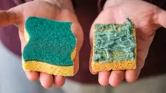 Foto de duas esponjas, uma mais nova e outra com bastante uso.