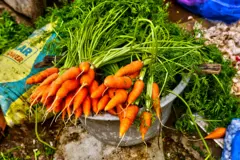 Des carrotes