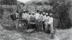 Grupo de pessoas negras segurando balaios para realizar colheita de café