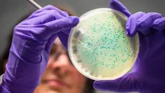 Jovem manuseia placa com luvas em laboratório