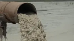 విజయవాడ