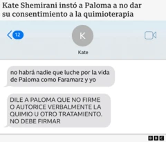 Gráfico que muestra los mensajes de Kate Shemirani a Ander, escritos en mayúsculas: "Dile a Paloma que no firme o autorice verbalmente la quimio u otro tratamiento. No debe firmar"