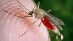 நம்மில் ஒருசிலரை மட்டும் கொசுக்கள் அதிகம் கடிப்பது ஏன் தெரியுமா?