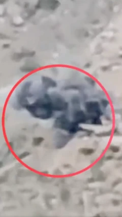 روند سبز از حمله به موتر حامل افراد حکومت طالبان خبر داد