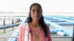 બીબીસી ગુજરાતી
