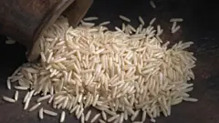 બીબીસી ગુજરાતી