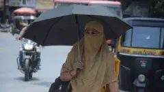 प्रातिनिधिक फोटो