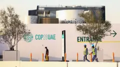 COP සමුළුවයනු එක්සත් ජාතීන්ගේ දේශගුණ විපර්යාස පිළිබඳ සමුළුවයි. මේ සඳහා රටවල් 200ක් පමණ සහභාගී වන අතර, එය 1995 වර්ෂයේ සිට වසරක් පාසා පැවැත්වෙන සමුළුවකි.