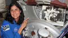 சுனிதா வில்லியம்ஸ், விண்வெளி, தாவரங்கள் 