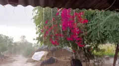 વરસાદ