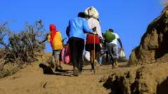 ተመዛበልቲ