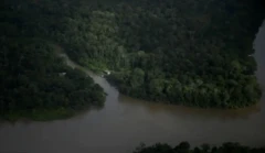 Foz de rio amazônico desaguando em região repleta de florestas