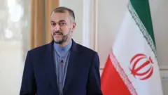 حسین امیرعبداللهیان وزیر خارجه جمهوری اسلامی ایران گفته «ما خیلی موافق نبودیم که هماهنگ‌کننده متن و طرحی را ارائه دهد ولی آنها گفتند که ما پست‌چی نیستیم که پاکت بین شما و آمریکا رد و بدل کنیم»
