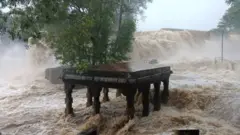  திருநெல்வேலி, தென்காசி, தூத்துக்குடி, கன்னியாகுமாரி, மழை