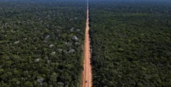 Foto do leito de terra batida da rodovia BR-319 , localizada entre Rondônia e Amazonas, cruzando a floresta amazônica