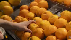 Uma mão pegando uma laranja entre várias no mercado