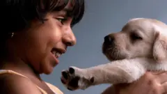 நாய் - மனிதன் நட்பு