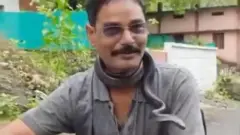 పాములు, విషం, ఆరోగ్యం