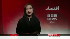 اقتصاد