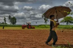 ગુજરાતમાં વરસાદ 