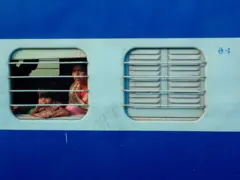 రైలు