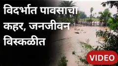 विदर्भातील 'या' जिल्ह्यांमध्ये पावसाचा जोर वाढला, जनजीवन विस्कळीत