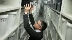 డెన్మార్క్‌లో 10 వేల బ్రెయిన్లు నిల్వ