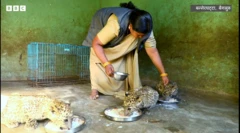 सावित्राम्मा की कहानी