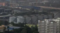 प्लांट (सांकेतिक तस्वीर)