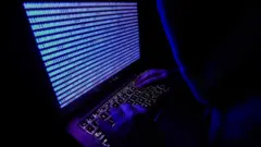 የበይነ መረብ ሰርሳሪ 