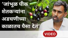 जांभूळ शेतीतून लाखो कमावणाऱ्या महाराष्ट्रातल्या शेतकऱ्याची गोष्ट