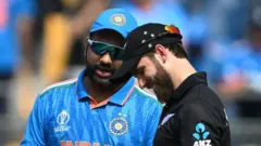 ક્રિકેટ