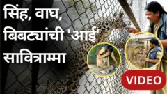 सावित्राम्मांनी आवाज दिल्यावर वाघ, सिंह, बिबट्या धावत येतात