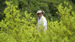 Campesino cocalero en el Catatumbo, Colombia, en 2022.