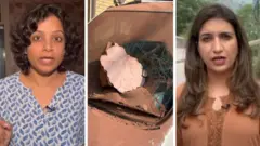 दिव्या आर्य (बीबीसी हिंदी) आणि फरहत जावेद (बीबीसी उर्दू)
