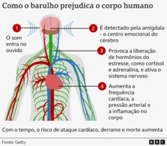 Gráfico mostrando os efeitos do barulho no corpo humano