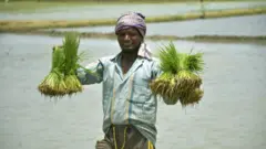 ਪਰਵਾਸੀ ਮਜ਼ਦੂਰ