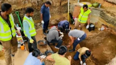 இலங்கை மனித புதைக்குழி 