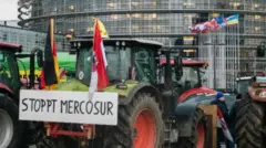 Европалык фермерлердин нааразылык акциясы. 