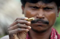 अबुझमाडमधील माओवाद्यांचा शेवटचा गड उदध्वस्त झाला आहे का? 