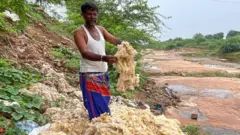 ઊન, ઘેટાં, ગુજરાત, માલધારીઓ, બીબીસી ગુજરાતી 