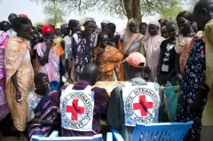 Distribution par le Comité international de la Croix-Rouge de semences, d'outils agricoles et de denrées alimentaires de base aux ménages des villages autour d'Agok, au Soudan du Sud.