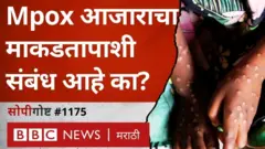 Mpox आजार काय आहे? WHO ने त्याबद्दल काय इशारा दिलाय?