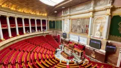 الجمعية الوطنية في البرلمان الفرنسي