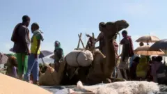 Namoota gargaarsa fudhachaa jiran