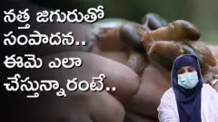 నత్త జిగురు 