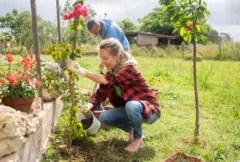 casal fazendo tarefas de jardinagem 