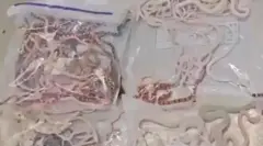 سانپ 