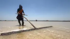 રણમાં અગરિયાઓનું જીવન
